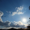 とある境内の空
