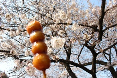 花よりだんご