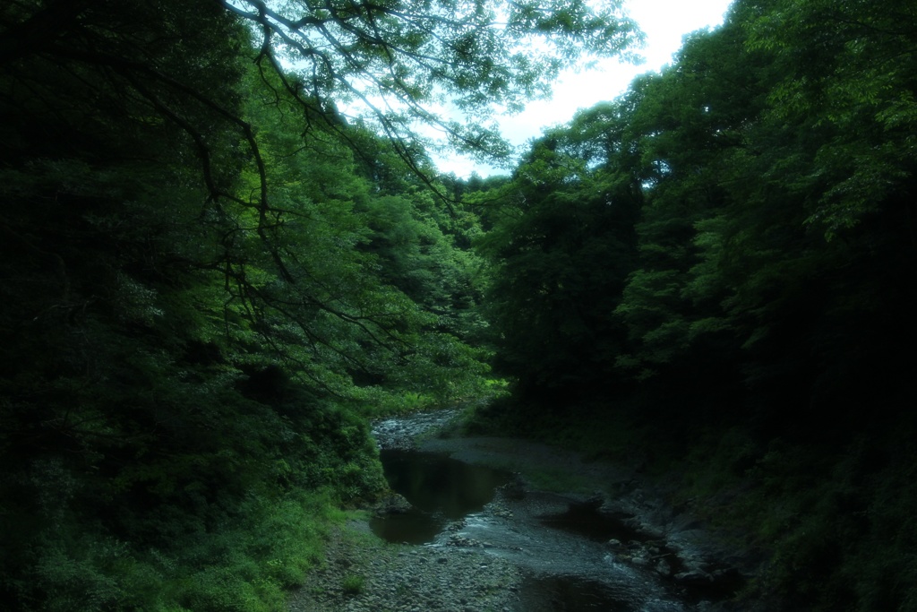 橋の上から
