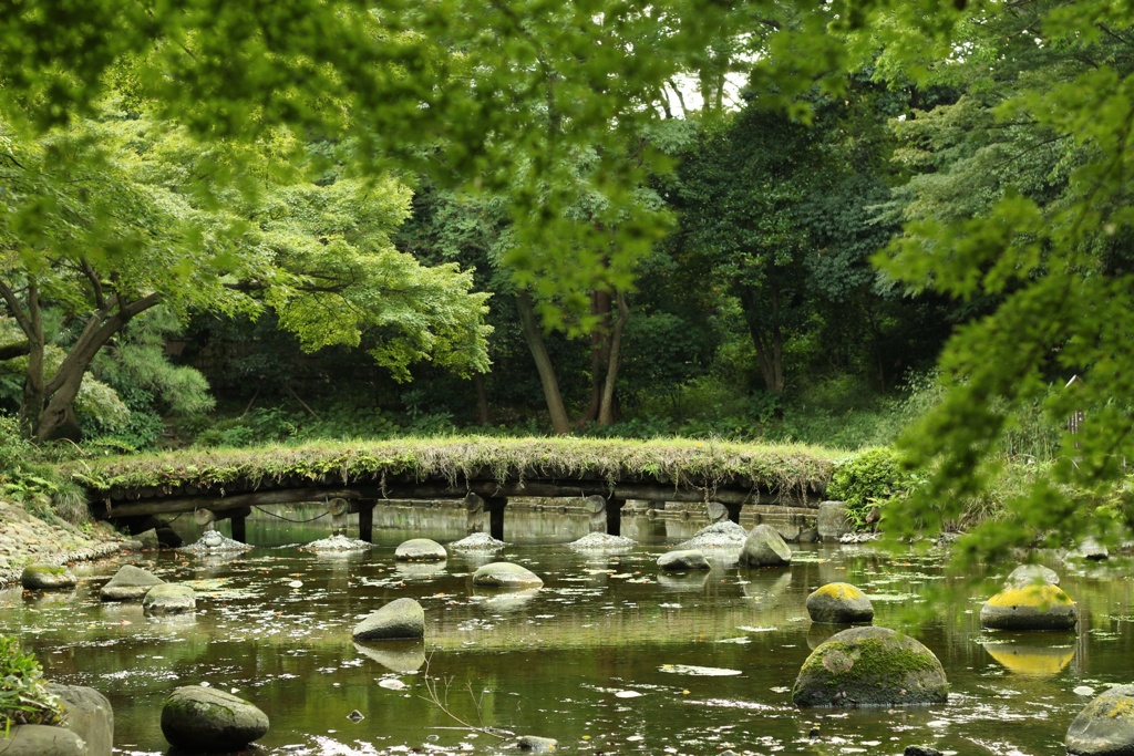 小石川後楽園にて