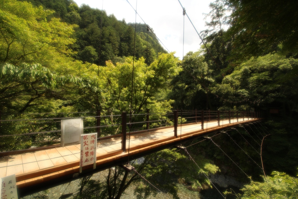 橋