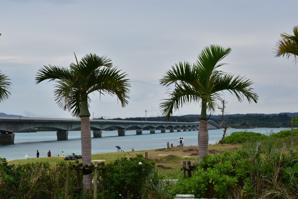 沖縄の古宇利島