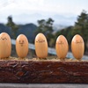 三島スカイウォーク