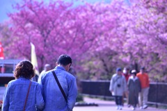 桜でデート
