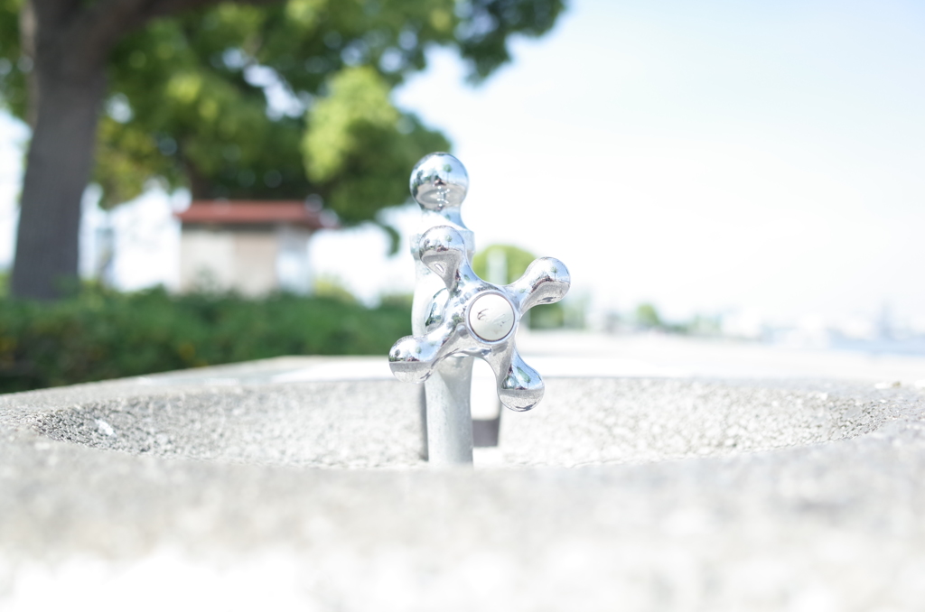 水飲場