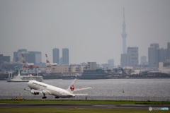 スカイツリーと飛行機①