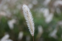 6F875F56-C25D-41F4-B806-9833FC8F5590