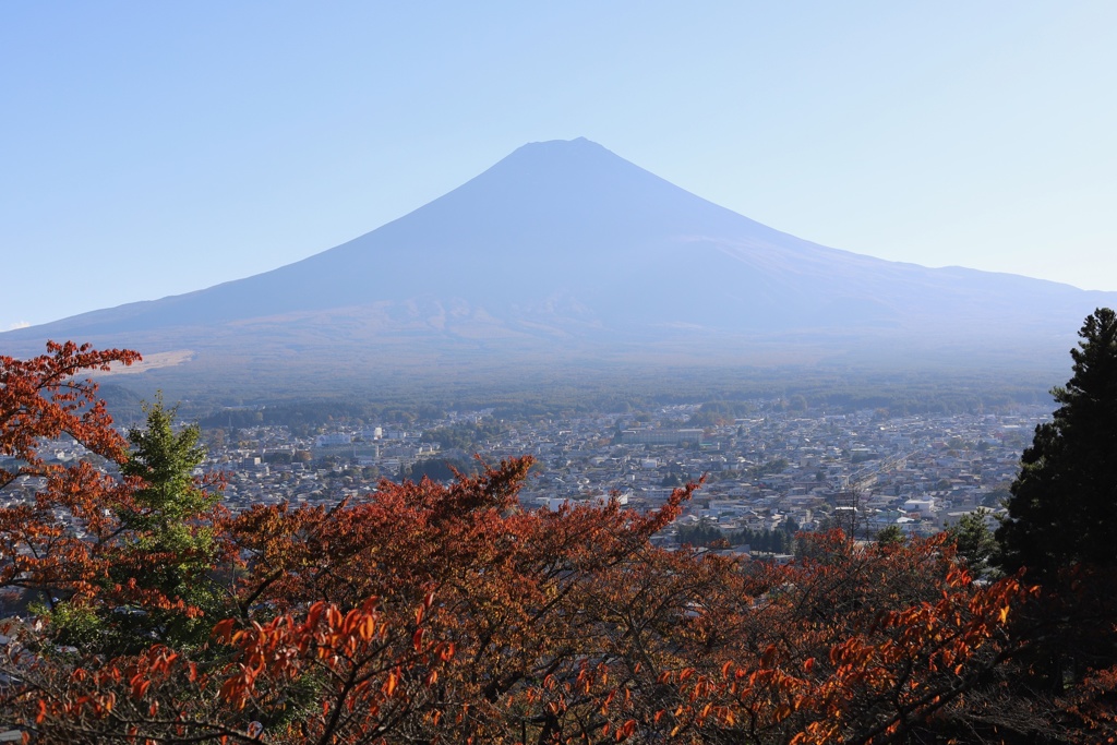 A2B215BE-B822-4251-900B-FA6A716F98C4