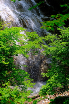 水遊び