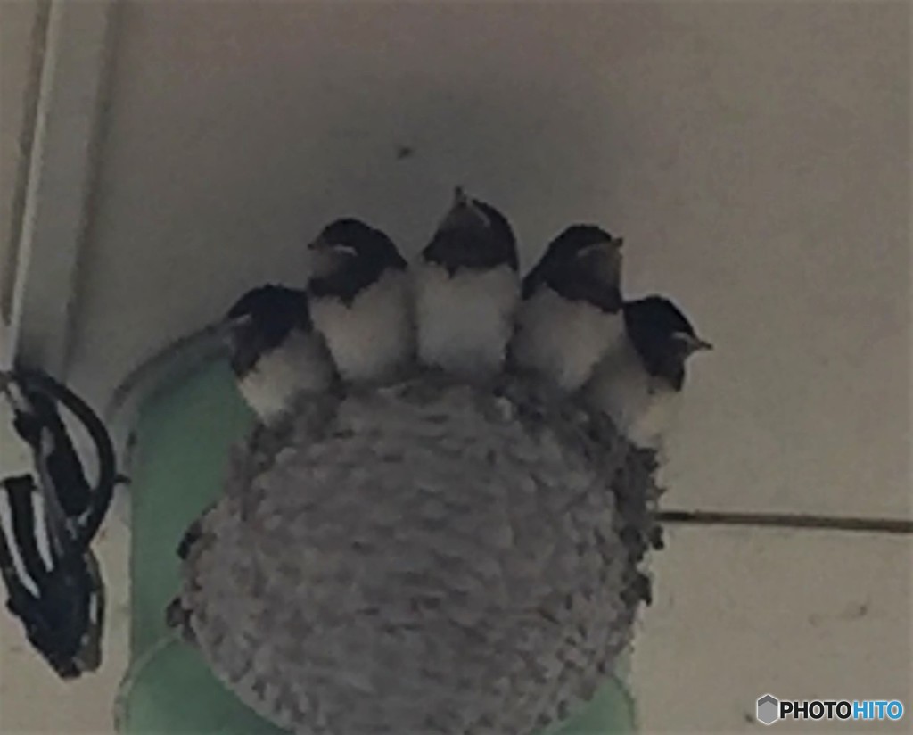 お腹が空いた。