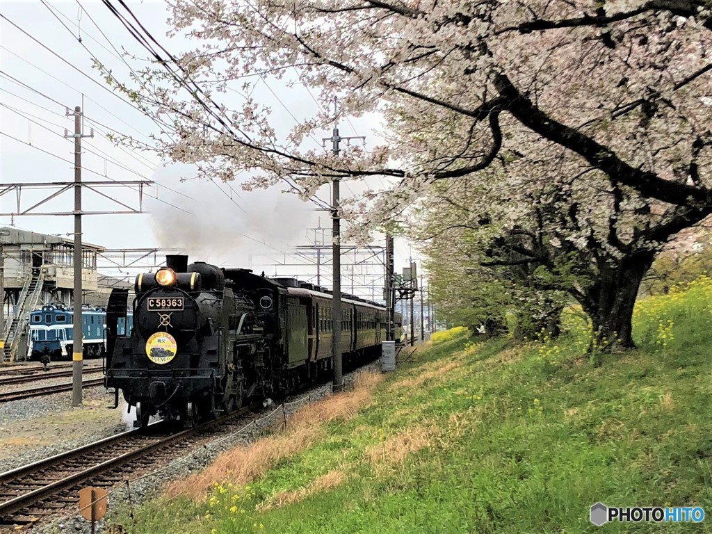 パレオエクスプレス。