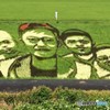 田んぼアート。