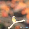 紅葉の宿。