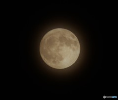 十五夜（中秋の名月）