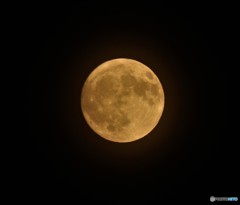 十五夜（中秋の名月）