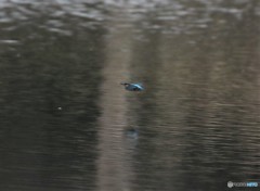雨の中。