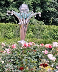 公園のバラ。
