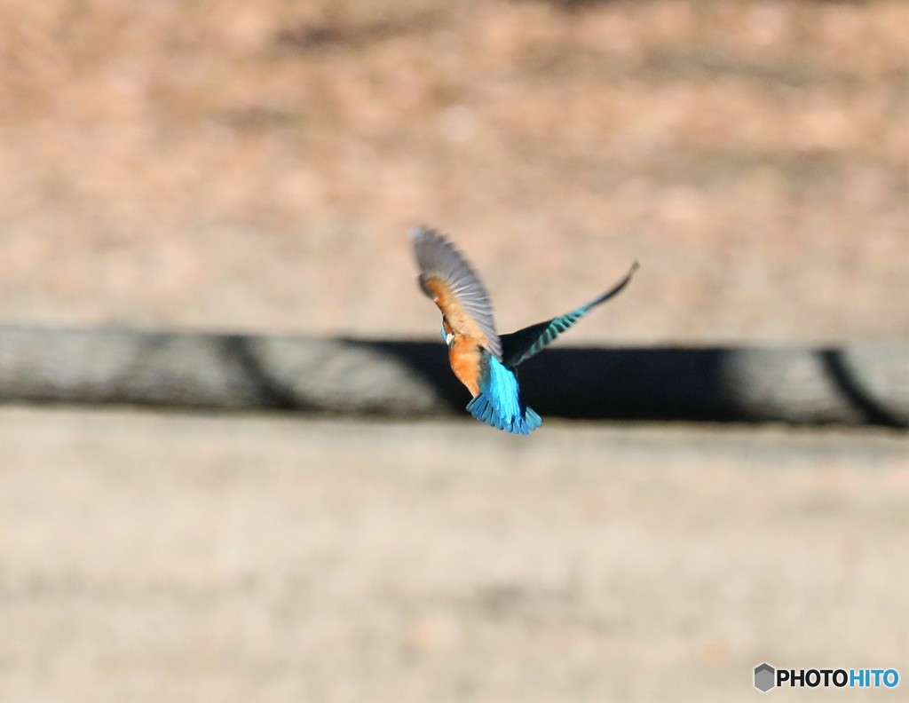 後ろ向きでした。