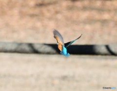 後ろ向きでした。