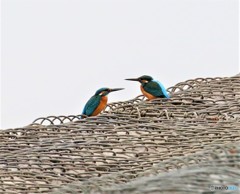 見つめ合う、男たち。