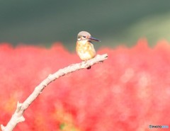 １週間ぶりに②。