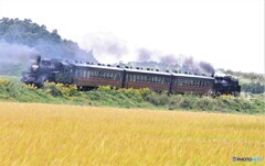 回送列車。