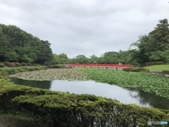 雨の公園。