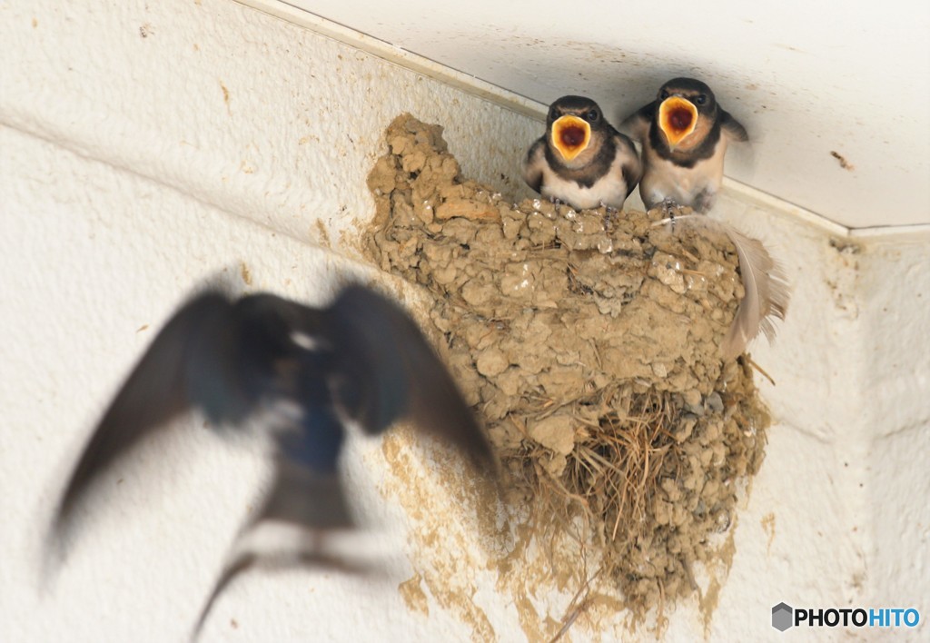 お母さん・・・