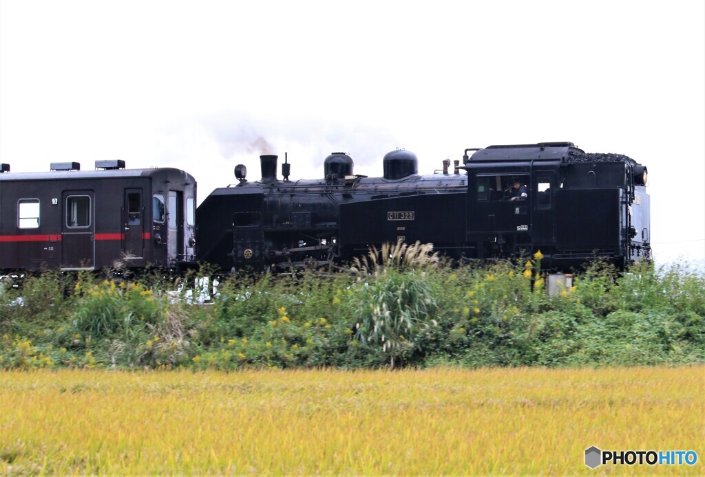 回送列車。