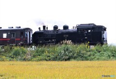 回送列車。