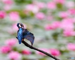 身だしなみチェック中です。