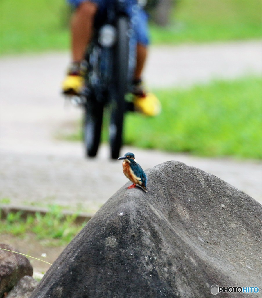 自転車が・・・