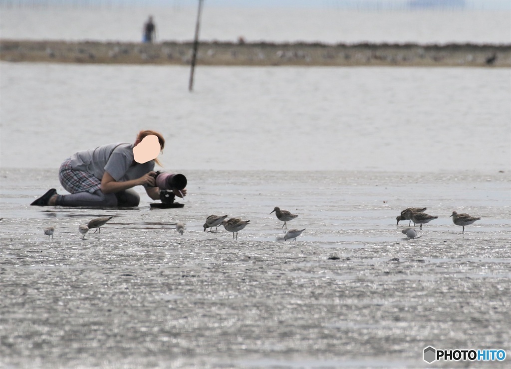 ベストショットは、撮れたかな？。