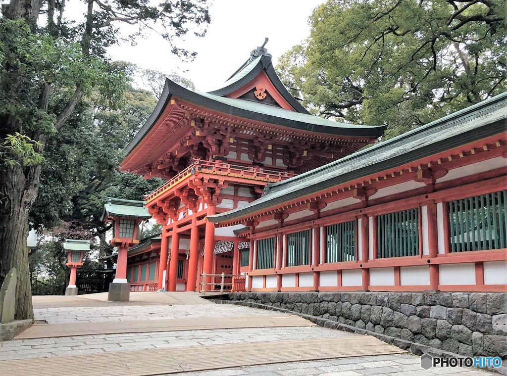 武蔵一宮氷川神社。