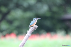 無修正・ノートり。