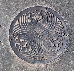 さくら草・マンポール。