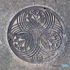 さくら草・マンポール。