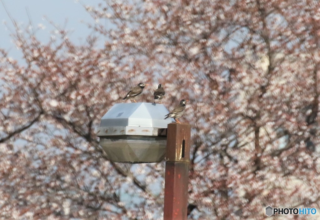 休憩中です。