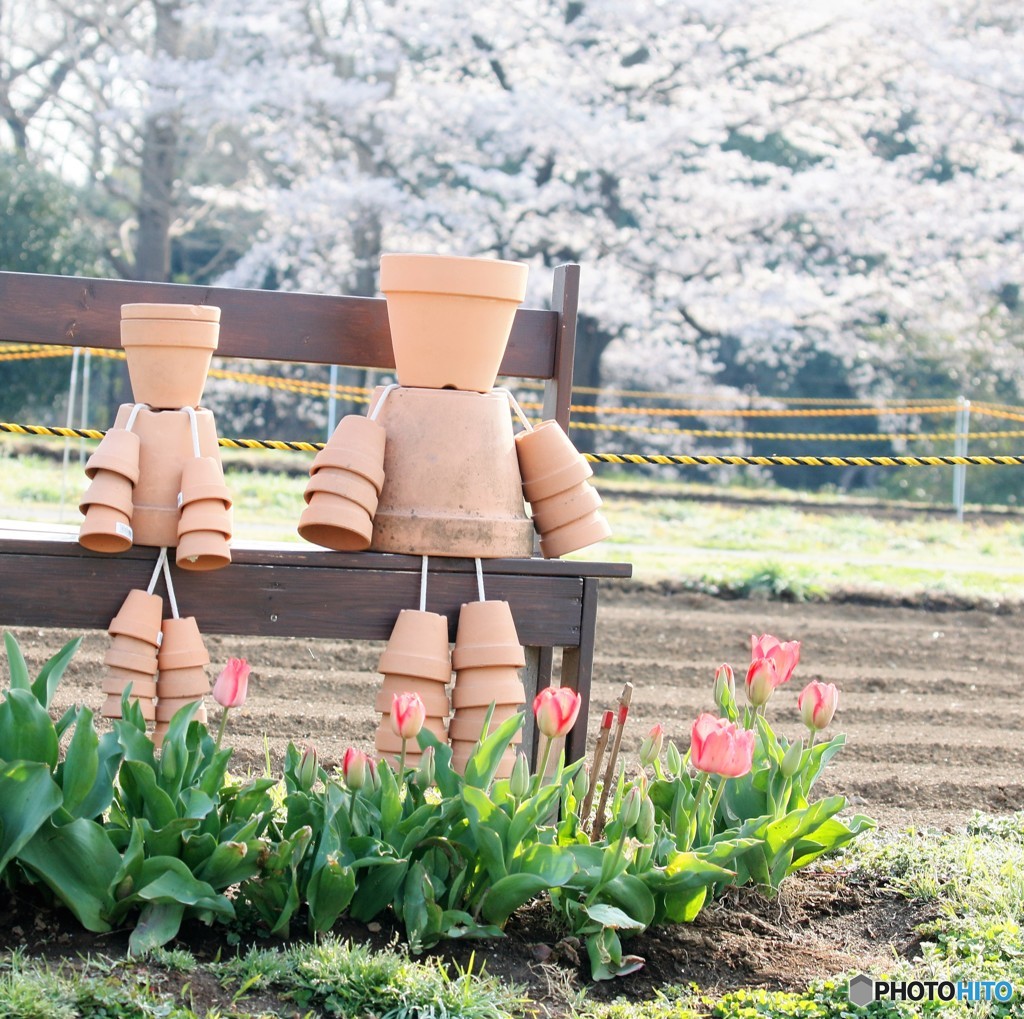 お人形さんの花見。
