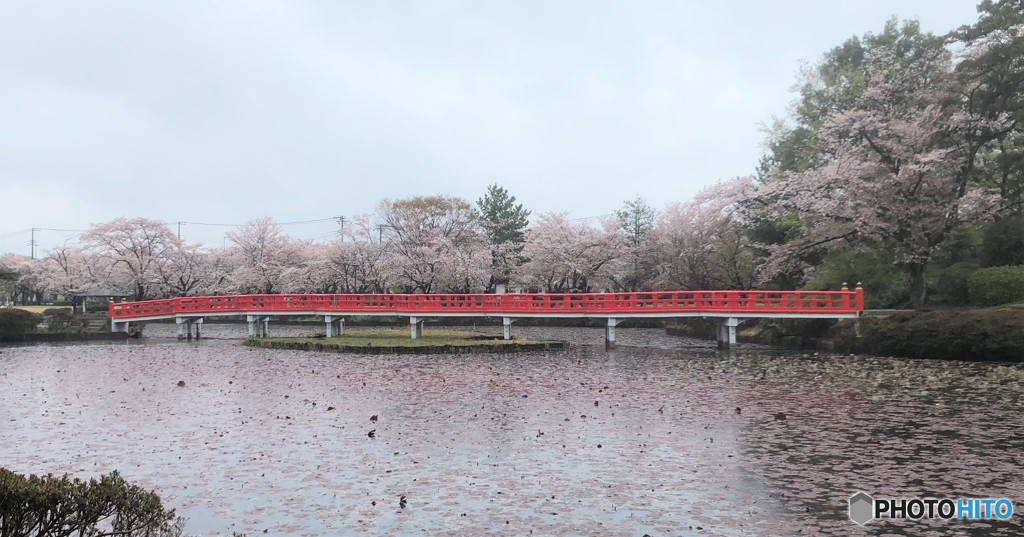 雨の公園。