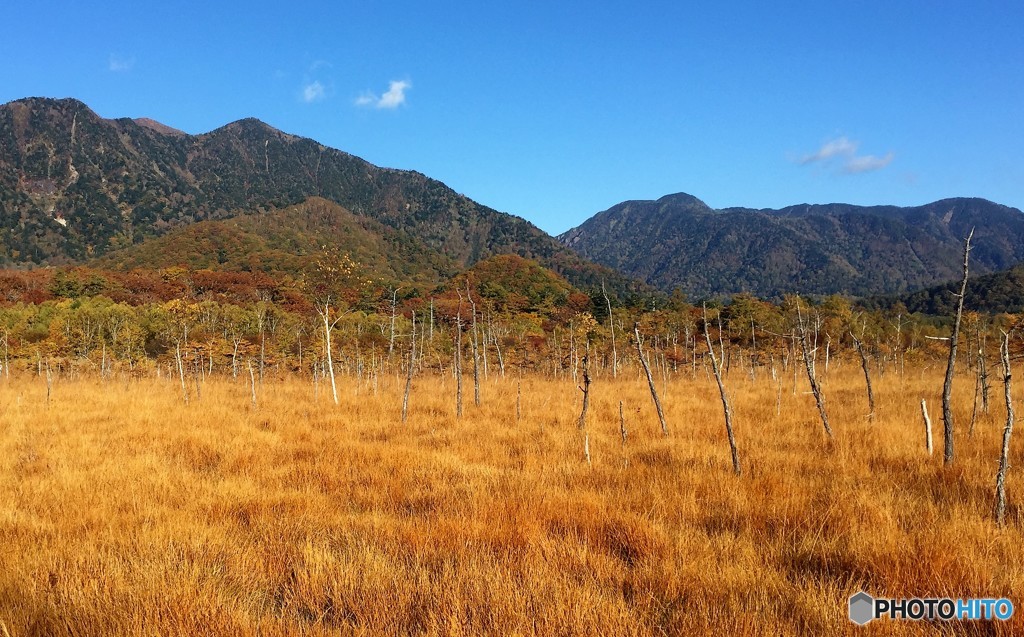 戦場ヶ原の紅葉。