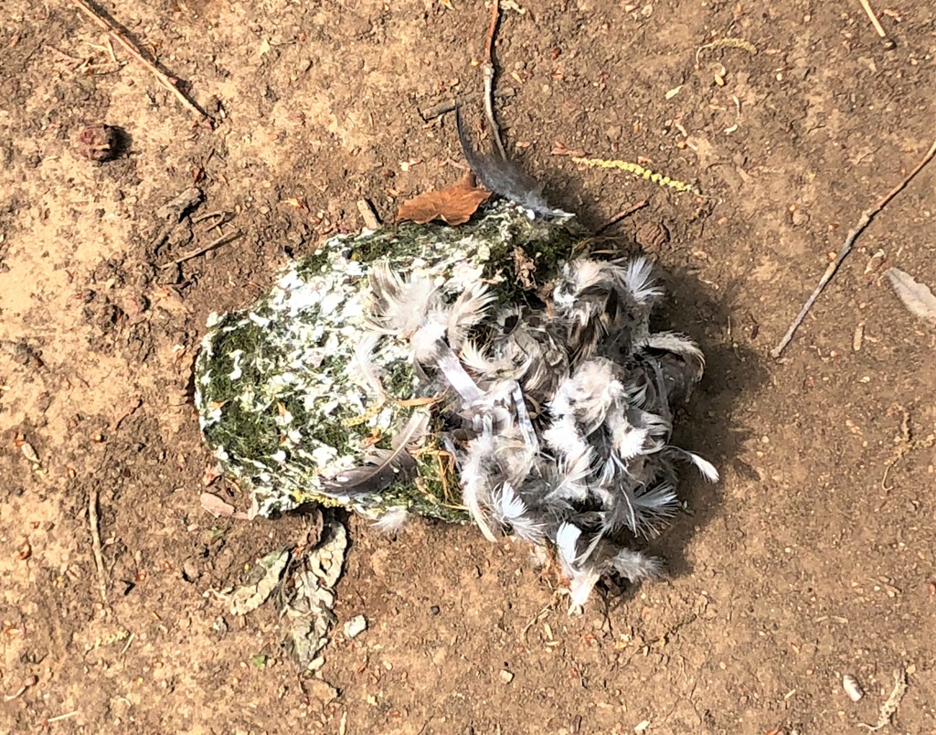 どなたのお住まいかな？。