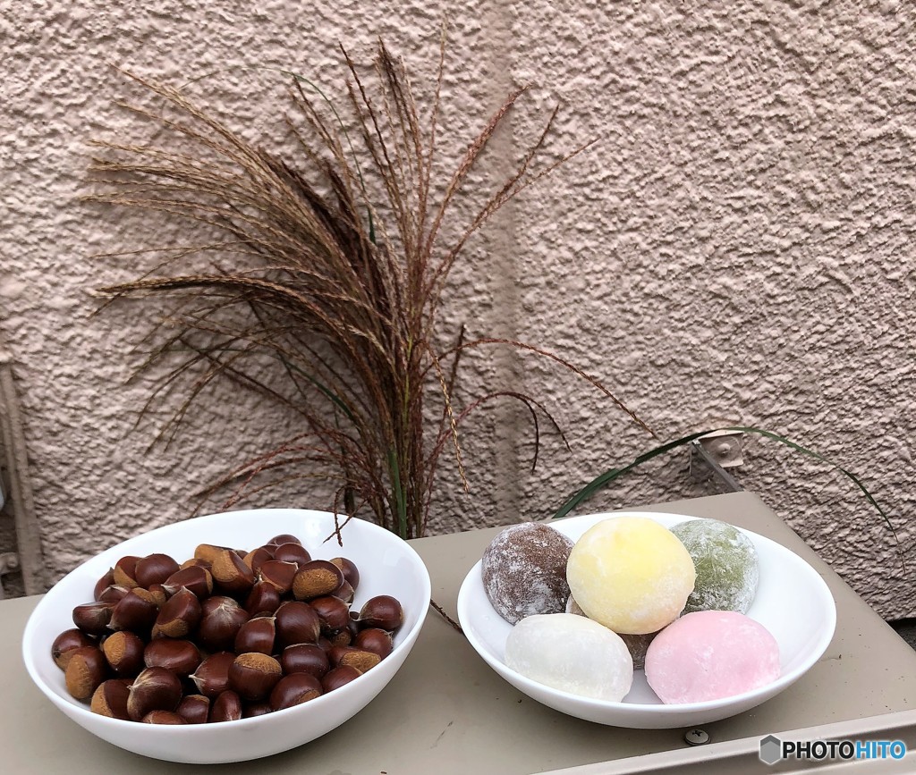 我が家のお月見。