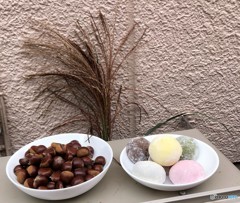 我が家のお月見。