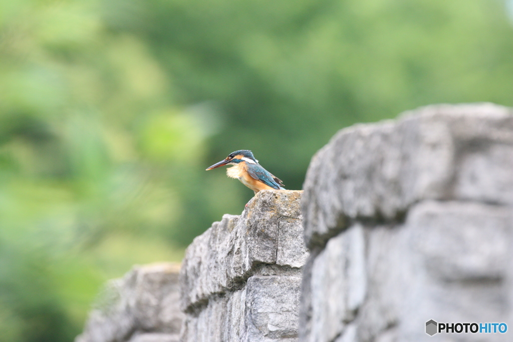 無修正・ノートリ。