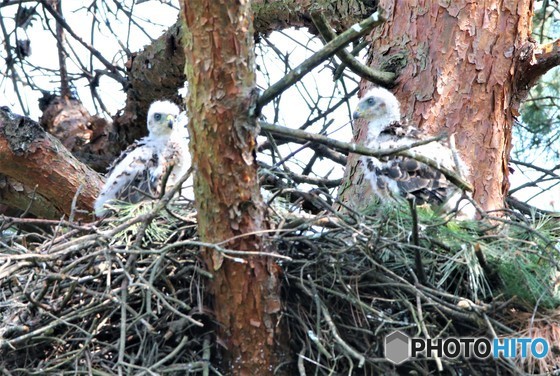 関東地方・本日梅雨入り。