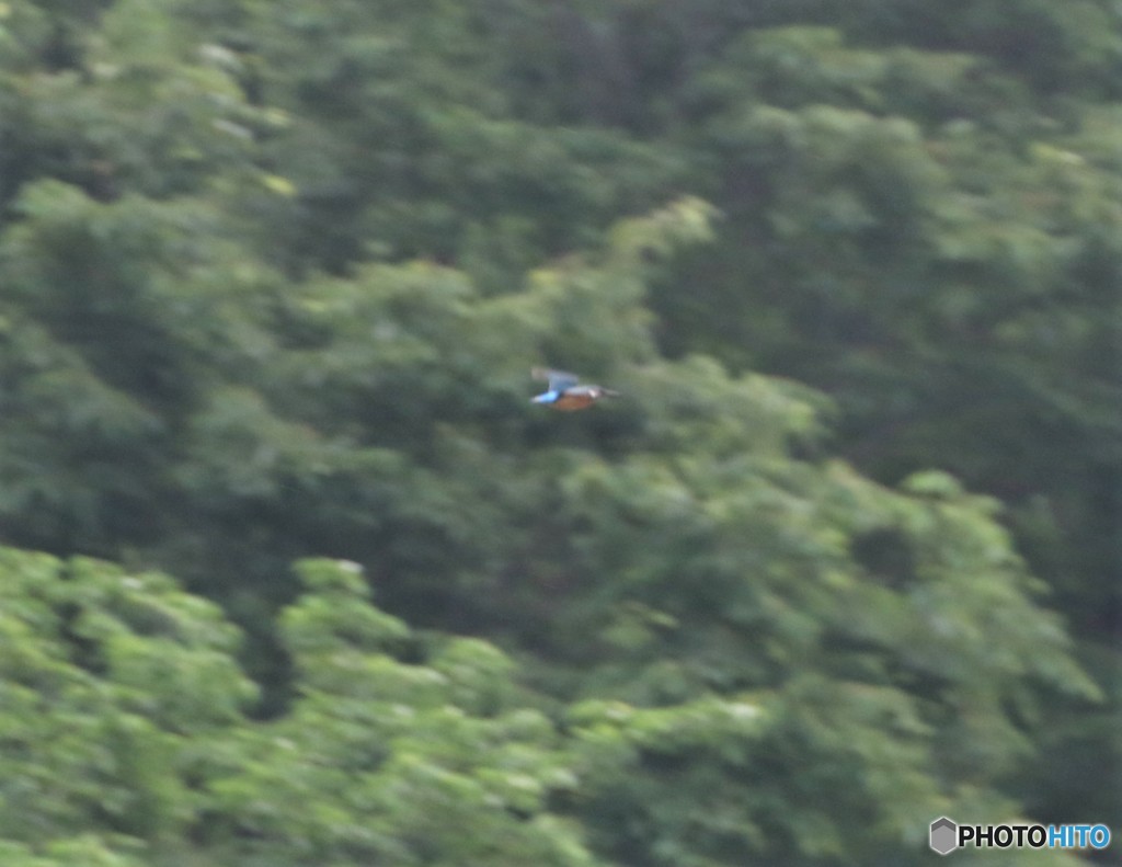 わかるかな・・・