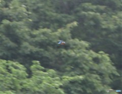 わかるかな・・・