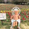 ボランティア・花畑。