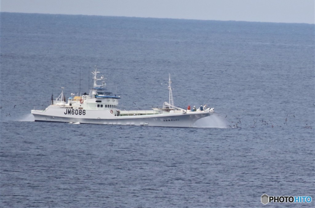 カッオの一本釣り。